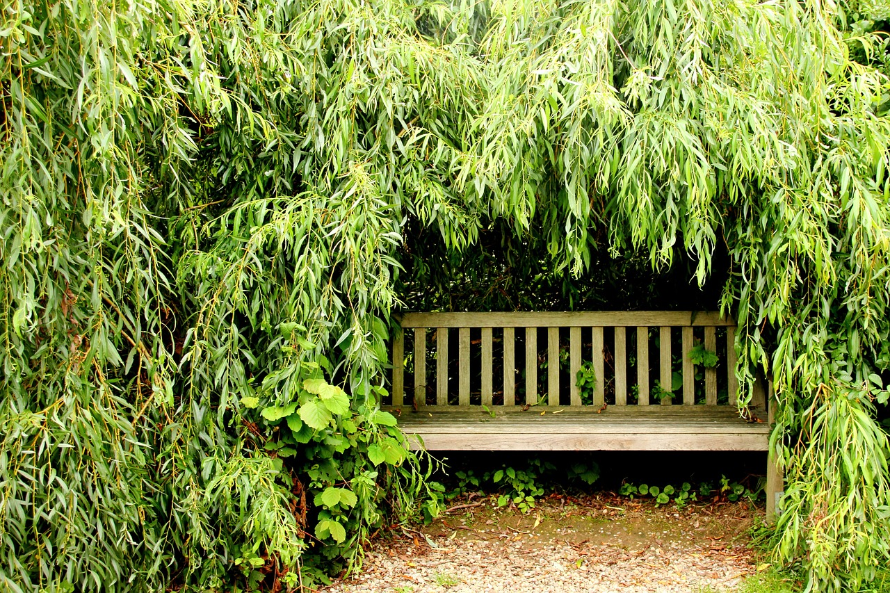 Banc de jardin pour décorer son extérieur