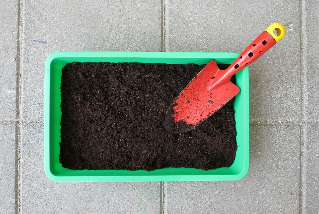 Comment faire un potager en ville ?