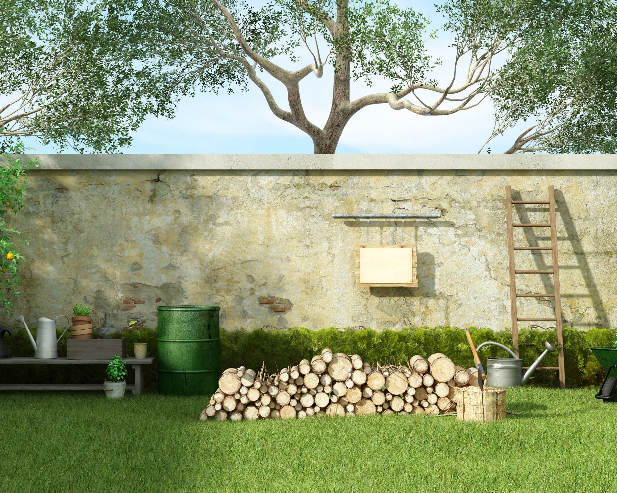 Mur de jardin en fond avec une echelle et des buches de bois à cote