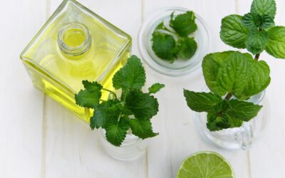 L’huile essentielle de menthe poivrée : comment elle soulage les maux de tête et les troubles digestifs