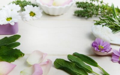 L’huile essentielle de sauge : un régulateur hormonal naturel et des propriétés antioxydantes qui protègent la peau.