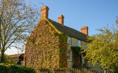 Murs de ferme modernes : Comment apporter une touche chic et rustique à votre intérieur ?