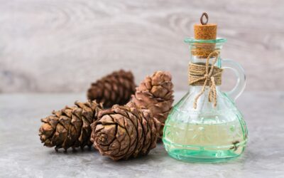 L’huile essentielle de cèdre : Purifiant puissant, décongestionnant et tonique veineux.