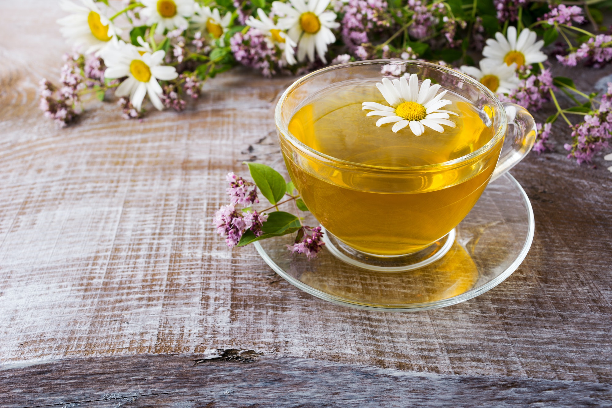 Cup of green herbal camomile tea and herbs