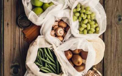 Aliments sans OGM : optez pour les produits bio pour une santé optimale et une alimentation plus responsable.