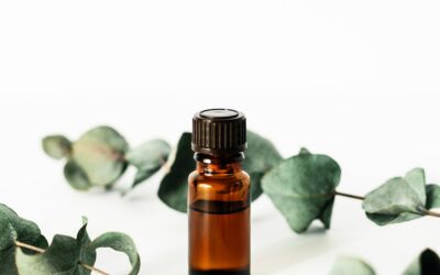 L’huile essentielle d’eucalyptus : aident à dégager les voies respiratoires et lutte efficacement contre les infections.