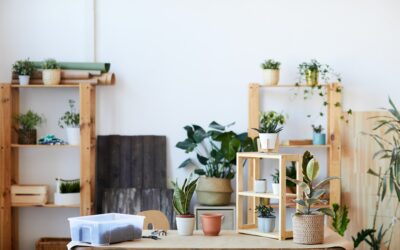 Végétaliser son intérieur: conseils pour intégrer des plantes dans votre maison avec style