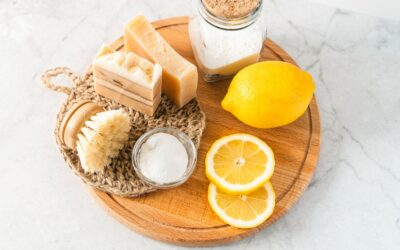 Santé et respect de l’environnement : adoptez les produits bio pour la maison tels que l’acide borique et le bicarbonate de soude.