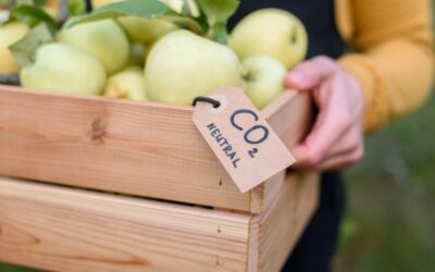 Réduisez votre empreinte carbone grâce aux produits bio anti-pollution : du thé vert, du café, du cacao.