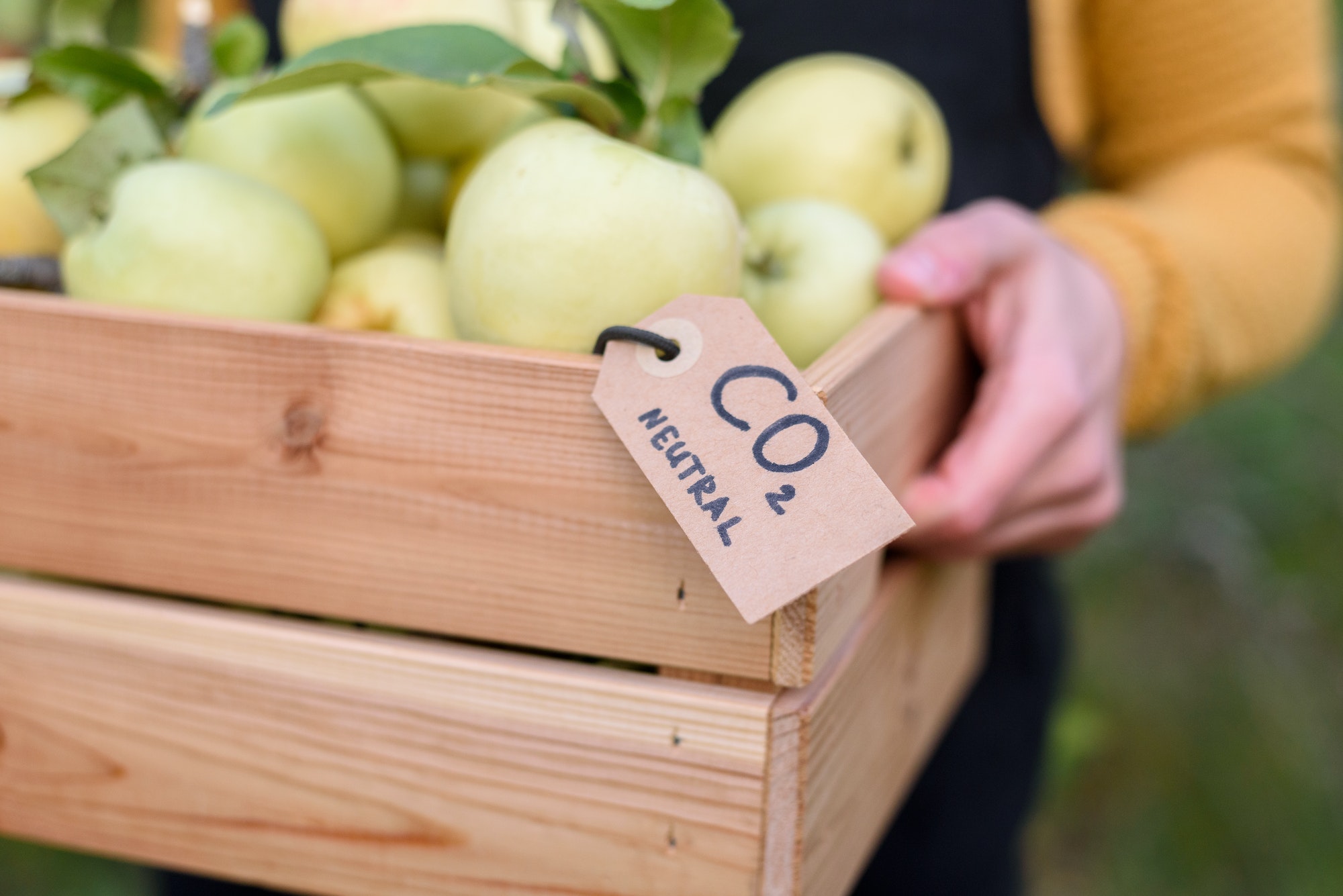 réduire son empreinte carbone avec des produits bio