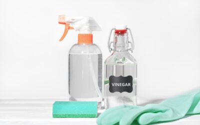 Nettoyage naturel de la maison : redécouvrez les avantages des produits bio tels que le vinaigre.