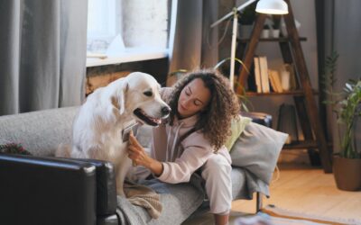 Prenez soin de vos animaux de compagnie avec des produits bio naturels tels que le curcuma et le gingembre