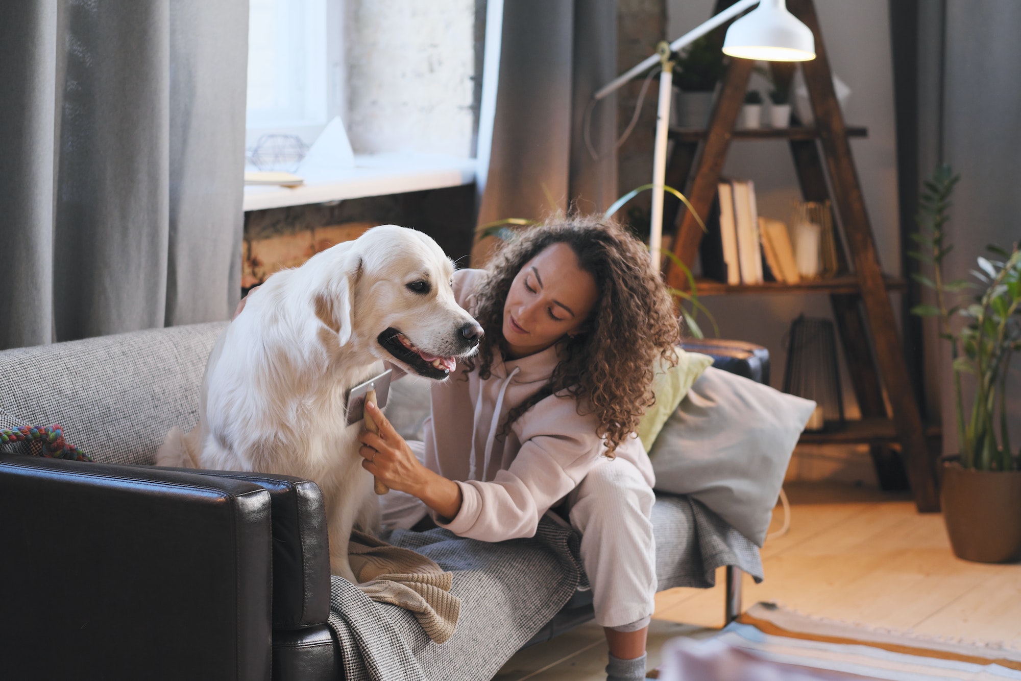 Pensez aux produits bio pour vos animaux !