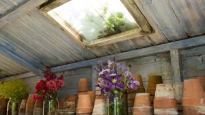 abri de jardin en bois