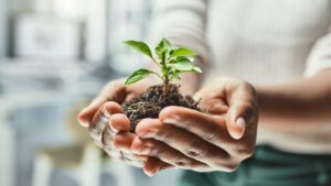 agro ecologie