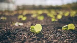 agro ecologie