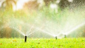 arrosage automatique dans un jardin