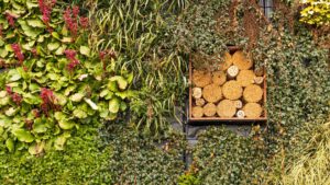 biodiversité jardin