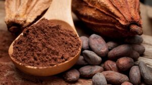 poudre de cacao