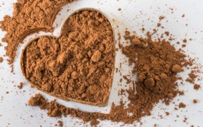 Les bienfaits du cacao pour la santé.