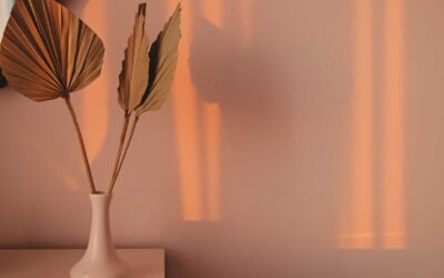 Décoration minimaliste et écologique.
