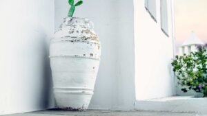 pot blanc avec un cactus