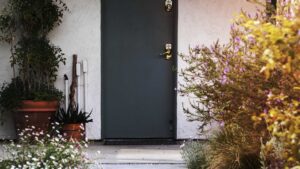 porte d'entrée décoré avec des plantes