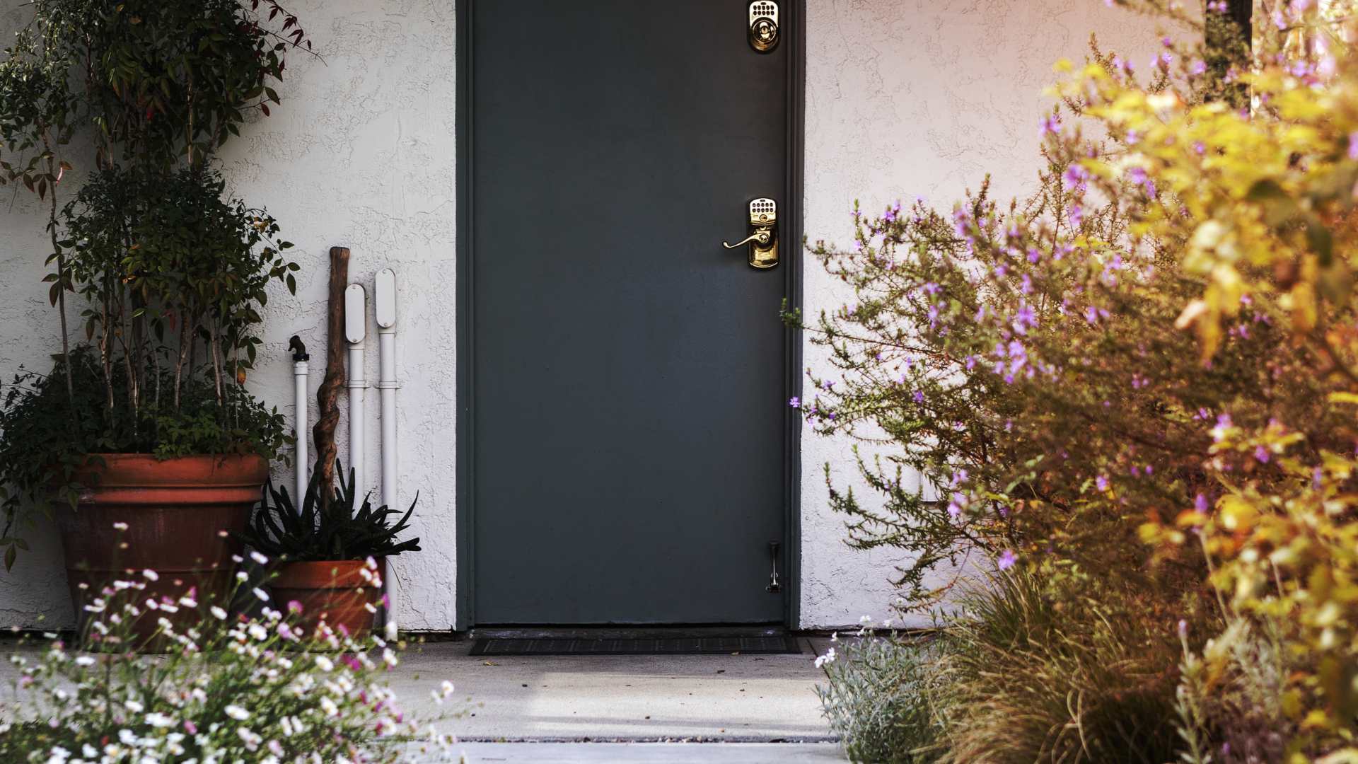 porte d'entrée décoré avec des plantes