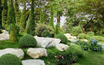 Utilisation de pierres naturelles dans le jardin.