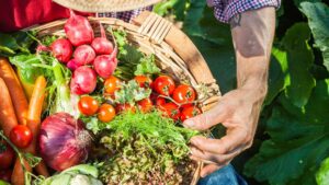 potager
