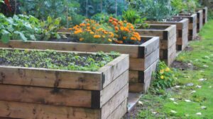 potager