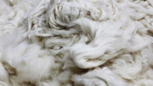 Textile bio