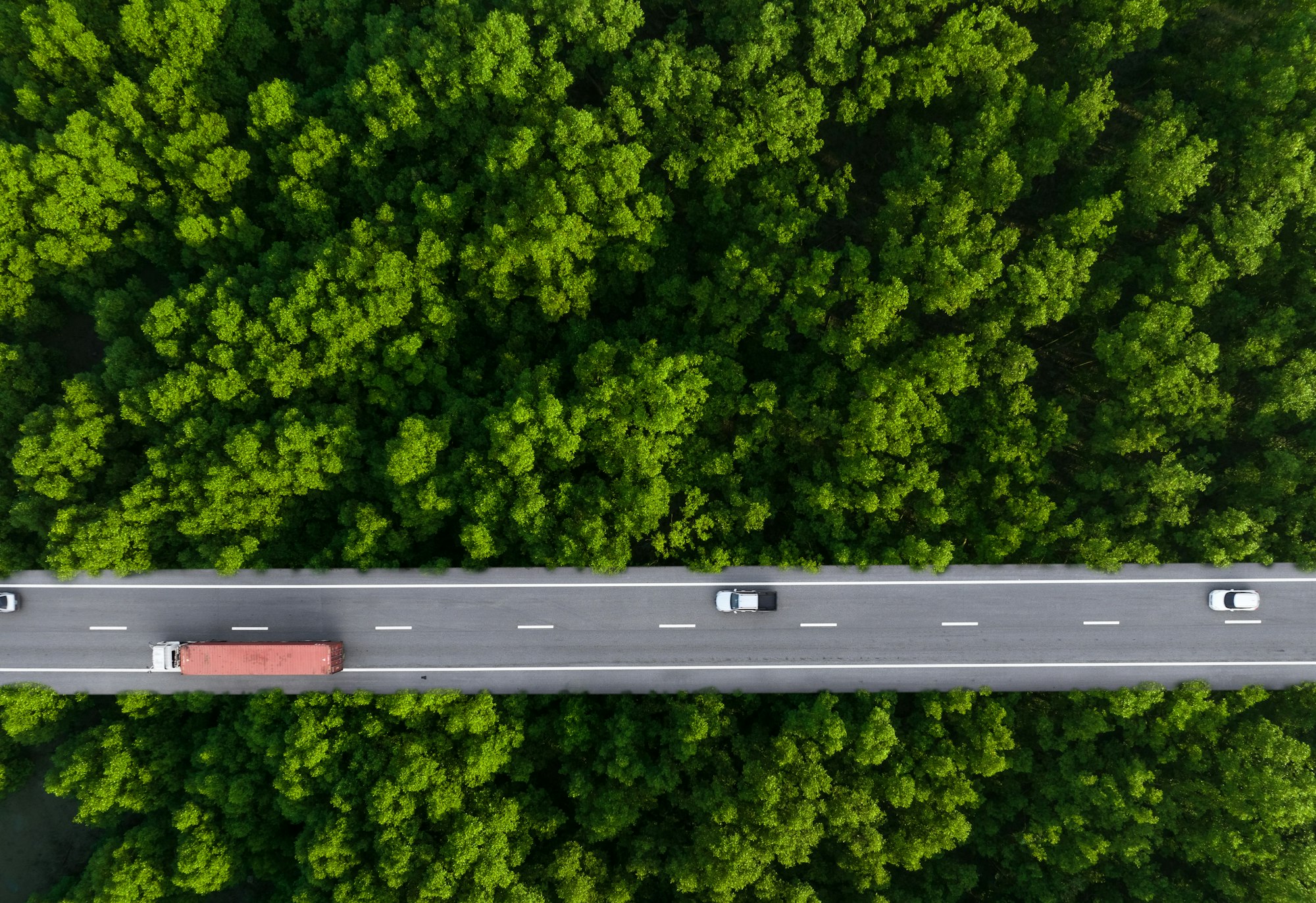 Aerial top view of car and truck driving on highway road in green forest. Sustainable transport.